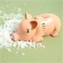 Animal Mini Tabletop Vacuum - Pig Animal Mini Tabletop Vacuum - Pig
