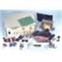ELENCO Deluxe Variable Regulated Power Supply Kit ELENCO Deluxe Variable Regulated Power Supply Kit